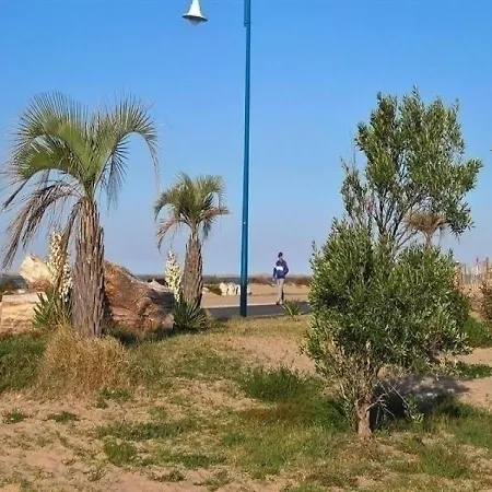 La Palmyre