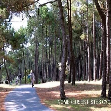 La Palmyre *